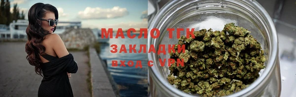 прущий лед Вяземский