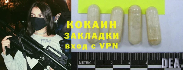 прущий лед Вяземский