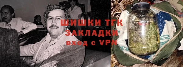 прущий лед Вяземский