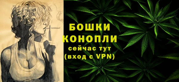 прущий лед Вяземский