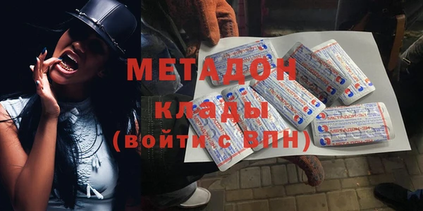 прущие грибы Горняк